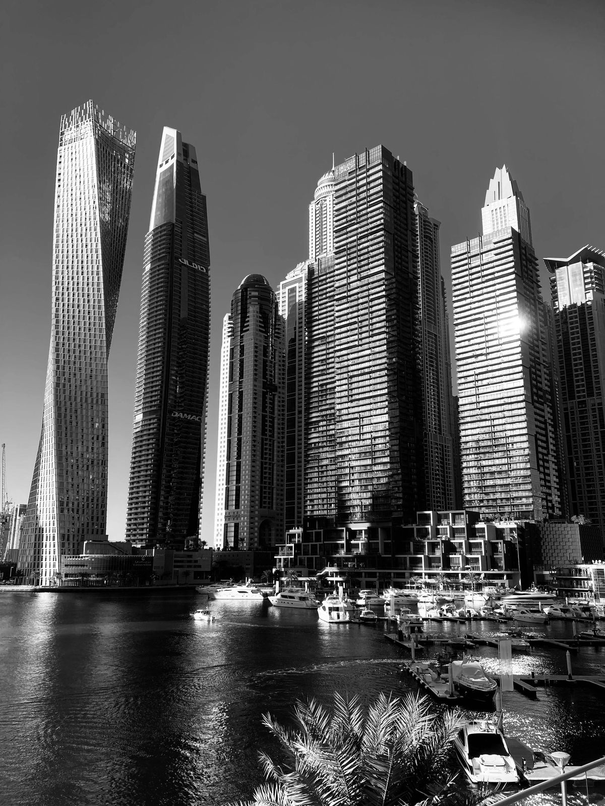 Dubai Marina skyline, black and white